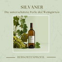 Rebsorte Silvaner: Die unterschätzte Perle der Weingärten