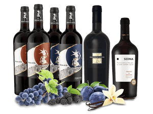 Probierpaket Die Welt des Primitivo 6 Fl.