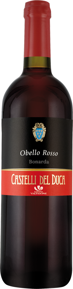 Medici Ermete Castelli del Duca Obello Rosso DOC