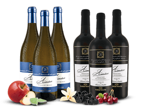 Probierpaket Amico (3x Primitivo, 3x Bianco)