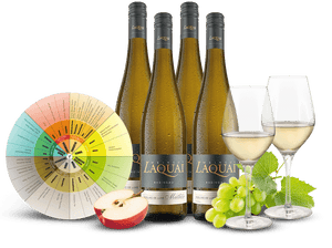 Probierpaket Riesling-Hochgenuss mit 2 Weißwein-Gläsern