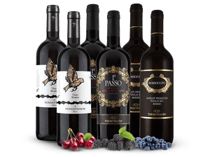 Probierpaket Primitivo-Cuvées