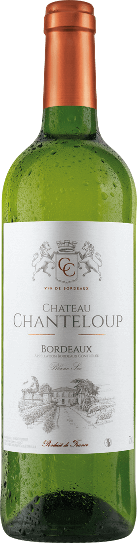 Château Chanteloup Blanc Bordeaux | ebrosia AOC