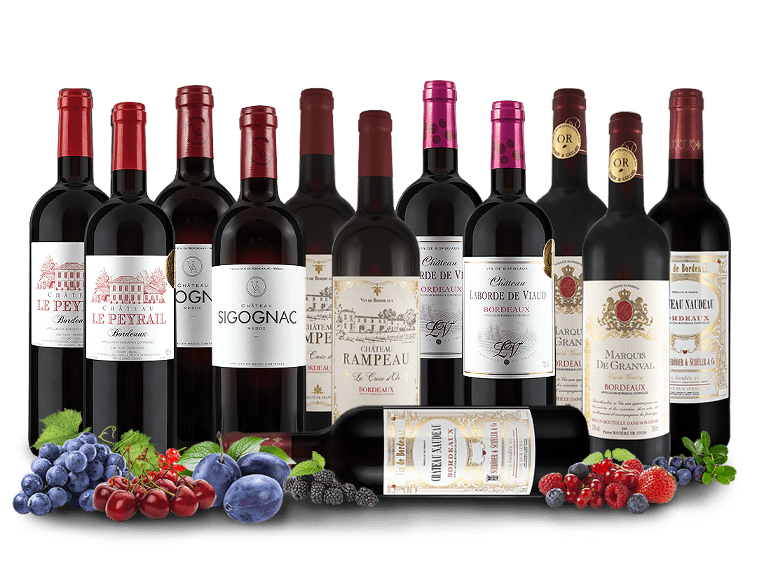 Best of Bordeaux Entdeckerpaket | ebrosia